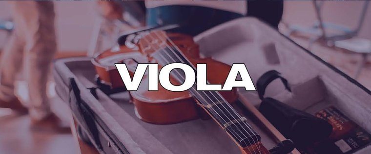 Alumno de Zamar tocando viola